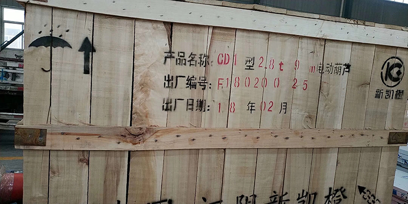 勝利案例